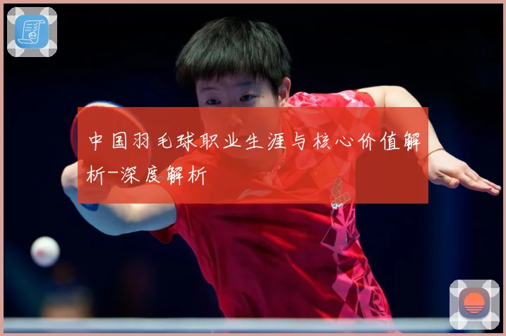中国羽毛球职业生涯与核心价值解析-深度解析