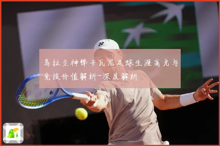 乌拉圭神锋卡瓦尼足球生涯高光与竞技价值解析-深度解析