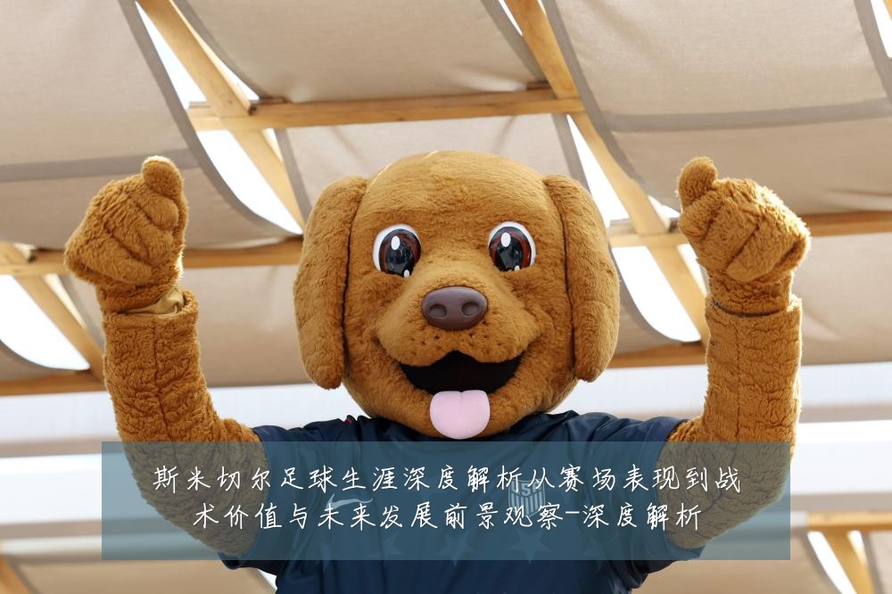 斯米切尔足球生涯深度解析从赛场表现到战术价值与未来发展前景观察-深度解析