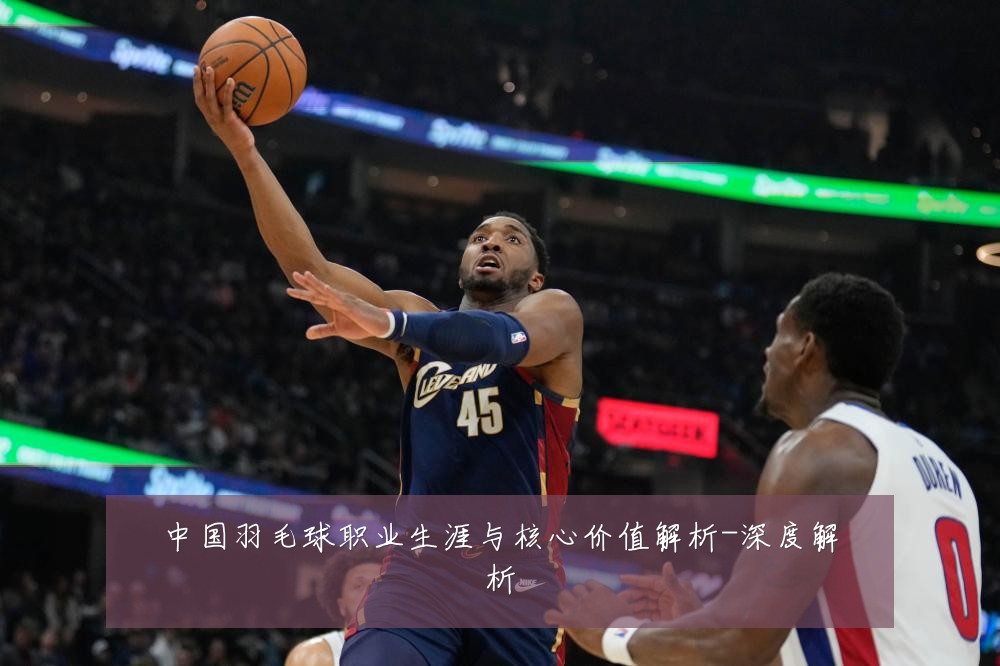 中国羽毛球职业生涯与核心价值解析-深度解析